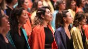 summer concert 2024